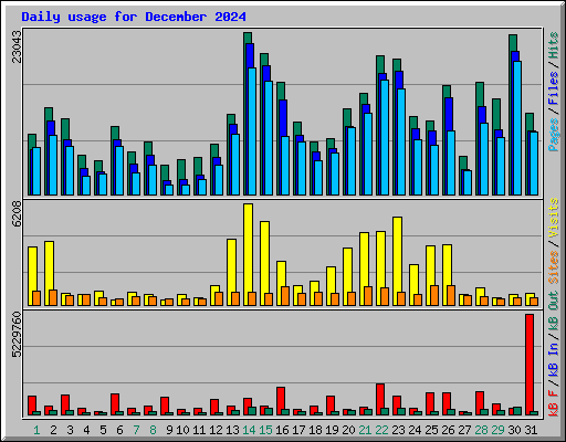 Daily usage for December 2024