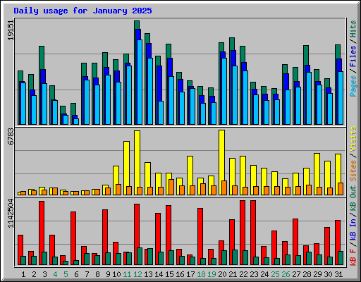 Daily usage for January 2025