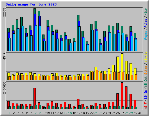 Daily usage for June 2025