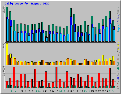 Daily usage for August 2025