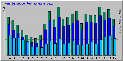 Hourly usage for January 2012