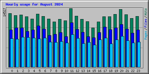 Hourly usage for August 2024