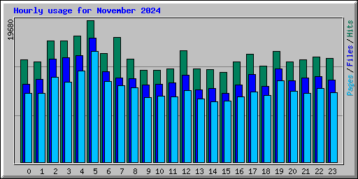Hourly usage for November 2024