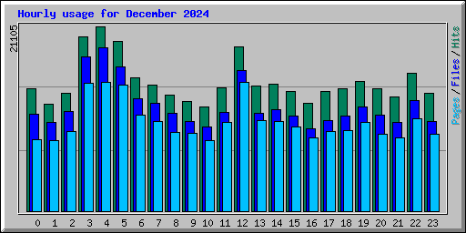 Hourly usage for December 2024