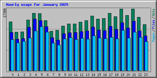 Hourly usage for January 2025