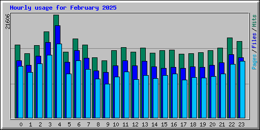 Hourly usage for February 2025