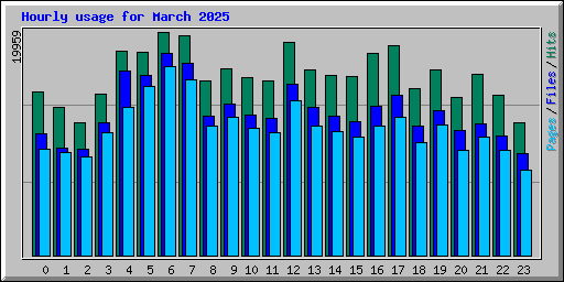 Hourly usage for March 2025