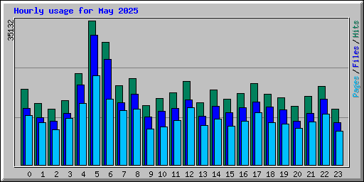 Hourly usage for May 2025