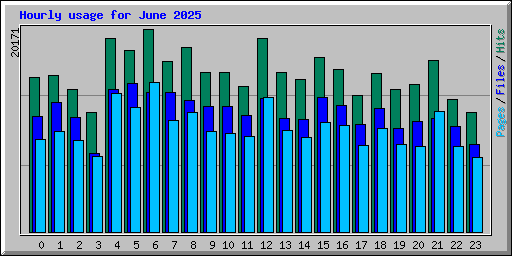 Hourly usage for June 2025