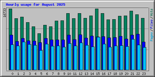 Hourly usage for August 2025