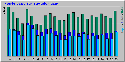 Hourly usage for September 2025