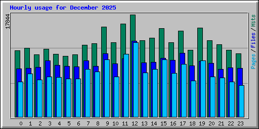 Hourly usage for December 2025
