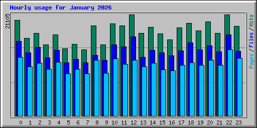 Hourly usage for January 2026
