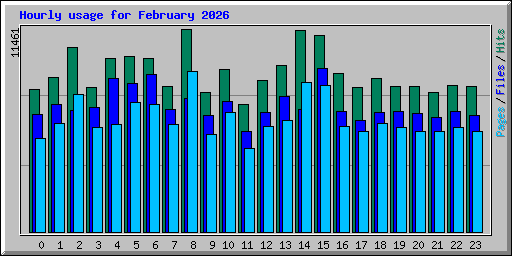 Hourly usage for February 2026