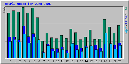 Hourly usage for June 2026