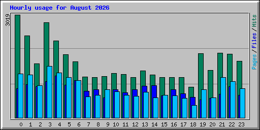 Hourly usage for August 2026